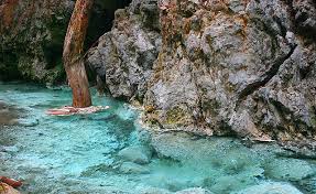 Kalau orang dari australia boleh sampai ke lokas pokok tropika tertinggi di dunia. Sulphurous Springs Tawau Hills Park Mysabah Com
