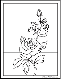 Rose Coloring Page Rose Buds On Stem Rose Coloring Pages Vine Drawing Rose Outline Drawing