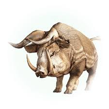 New icon & illustration sets. Bdo é‡Žè±¬ Bddatabase Net Tw Npc 20006