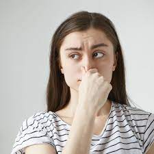 This trick can also be used to freshen up an aging mattress. How To Banish Bad Odors In Your House The Family Handyman
