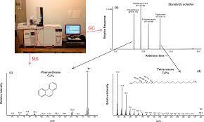 This article serves to demonstrate tools for an effective the size of a spectral peak is proportional to the amount of the substance that reaches the detector in the gc instrument. Gas Chromatography Mass Spectrometry Gc Ms Springerlink