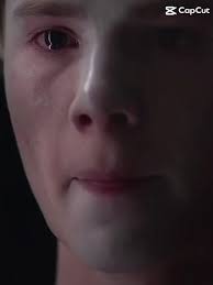 Lágrimas por osos: La historia de Wille y sus luchas