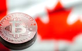 The best cryptocurrency exchange in canada is bitbuy. Buy Cryptocurrency In Canada Archives Bitcanuck Ca