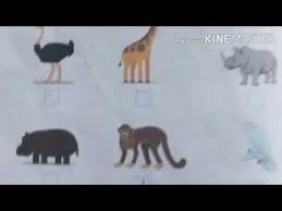 Translate bahasa inggris kelas 7 hal 163 164 tolong jawab brainly co id from. Bahasa Inggris Kelas 6 Halaman 36 38 Youtube