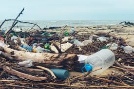 Vous créez avec votre texte, logo ou image. 27 Bouteilles Recyclees Pour Faire Un T Shirt European Economic And Social Committee