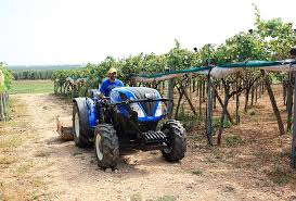 New holland sa che dovete trascorrere lunghe ore al volante del vostro t4. New Tractor New Holland T4 100f Dachshund Malavolta New Tractors
