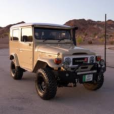 Image result for Beige Sand 1982 Fleet