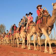 We offer a camel experience's that can't be beaten anywhere in. Uluru Camel Tours Uluru Camel Tours Uluru Ayers Rock Australia