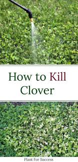 Pin On Lawn Care