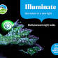 Illuminate: biofluorescence in nature - RSPB Dearne Valley - Old Moor, Old Moor Ln, Wombwell Event Image