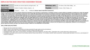 A risk assessment is the process of identifying potential risks surrounding your business activities and assessing them by the likelihood of occurrence and the severity of the impact it poses to your firm. Section Head Credit Risk Assessment Job Letter Resume Template