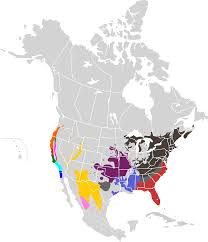 We did not find results for: Datei Diadophis Punctatus Map Svg Wikipedia