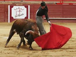 Alejandro Talavante en Valdemorillo - Capital Noroeste
