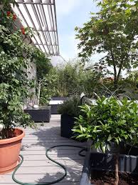 Mein Mini Dschungel Am Balkon In 2020 Pflanzen Grunpflanzen Garten