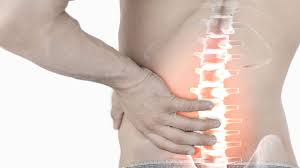 Above are the wrist bones. Common Lower Back Pain Causes Spine And Posture Care
