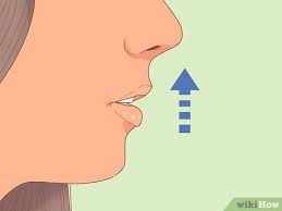 3 Ways To Fake A Convincing French Accent - Wikihow
