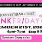 Pink Friday Shop & Stroll event in Cherry Valley, IL