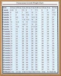 Growth Chart Pom Beach Pomeranians