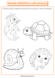 Disegni Da Colorare Estate Bello Autunno Disegni Da Colorare Scuola Primaria Stampae Colorare Of Disegni Da Colorare Estate Nel 2020 Infanzia Scuola Disegni Da Colorare