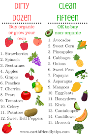 How To Make A Diy Fruit And Vegetable Cleaner Earth Friendly Tips Organic Recipes Detox Recipes Baby Food Recipes