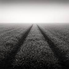Black And White Landscape Photography Nature Pin En Art 318 Board 2