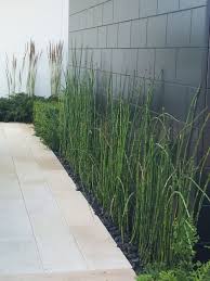 We are going to do landscaping too. Indoor Plants Provide Lots Of Advantages Not Just For Houses However Likewise For Workplaces And Othe Paint Concrete Patio Backyard Fences Concrete Block Walls
