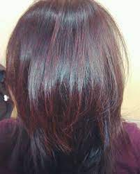 Black hair with burgundy highlights. Black Hair With Burgundy Highlights Short Hair Novocom Top