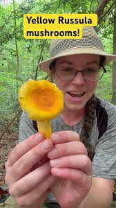 Image result for Russula flavida