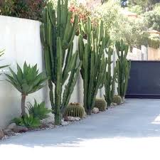 Pieri Jardins Creation Jardin Contemporain Amenagement De Jardins Var Sanary Six Fours Bandol Mars Jardin Contemporain Amenagement Jardin Creation Jardin