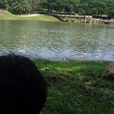 Tak ramai yang tahu tasik ini adalah lokasi terbaik juga untuk aktiviti memancing. Taman Rekreasi Air Putrajaya Percint 5