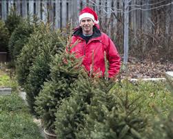 We did not find results for: Why Renting Your Christmas Tree Could Be The Smart Choice The Star