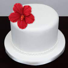 Apr 06, 2021 · flowers from florists or grocery stores have been treated with pesticides and should not be eaten unless labeled as edible. Global Sugar Art Hibiscus Sugar Cake Flowers Red Large 9 Count By Chef Alan Tetreault Hibiscus