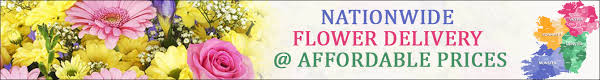 Flower Delivery Mayo Send Flowers Mayo Mayo Florist Flower Shop