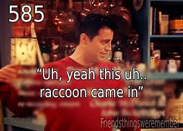 Joey Cant Lie Friends Tv Show I Love My Friends Friends Tv