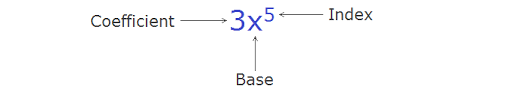 Laws Of Indices Index Plurals Exponents