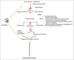 Management Of Rheumatoid Arthritis Aamavata Using Symbiohealth Healthcare System Basisht Gk Singh Rh Chandola H Ayu