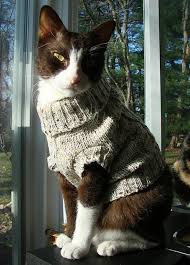 109 Cats In Sweaters Evcil Hayvan Kiyafetleri Kedi Evcil Hayvanlar