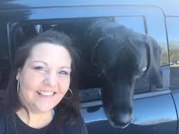 Great Dane Found in the Mobb School/ Granada Rd area of Arab please contact  Rho