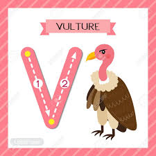 This is why learning words for kids is crucial for their early learning. Letter V Uppercase Cute Children Colorful Zoo And Animals Abc Alphabet Tracing Flashcard Of Vulture Bird For Kids Learning English Vocabulary And Handwriting Vector Illustration Royalty Free Cliparts Vectors And Stock Illustration