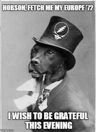 Pin By Cathy Aaron On Grateful Dead Deadvids Old Money Dog Funny Dog Memes Funny Dog Pictures