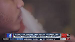 Say no to underage disclaimer: Vaping Concerns Once Kids Return To Classrooms School Campaigns Encourage Kids To Avoid Smoking