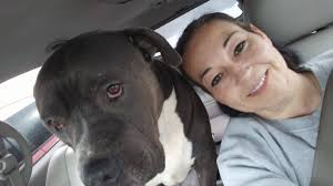 Buster and Joey the two little chancers 🤣🤣