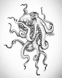 Page De Partage De Dotwork Sur I Krake Tattoo Design Kraken Skizze Kraken Tatowierung