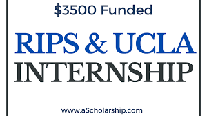Rips Internship Program 2021 2022 Apply Today A Scholarship