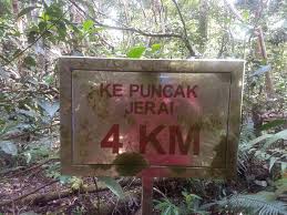 Y junction (seri perigi, tangga kenari & gunung jerai). Wikiloc Gunung Jerai Trail