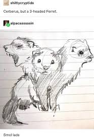 80 Fresh Tumblr Posts Cute Art Tumblr Funny Art