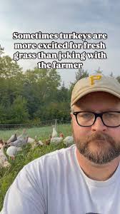 New grass & bugs > jokes 🦃😐🤣, A guy should’ve known they’re more  interested in brand new pastures than listening to jokes., #turkey , #birds  , #farming , #outdoors , #comedy , #jokes , #dadjokes