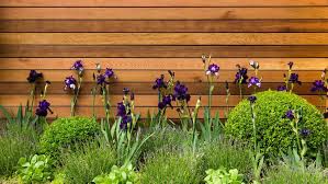 Design Better Garden Borders Using Repetition Verve Garden Design Plant Texture Garden Borders Amazing Gardens