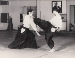 Steven Seagal, The Great Charlatan Of The Martial Arts World