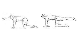 Para hacer este ejercicio para fortalecer las lumbares tienes que posicionarte en una postura de cuadrupedia. Dolor Lumbar Que Es Ejercicios Para Fortalecer Lumbares Fotos